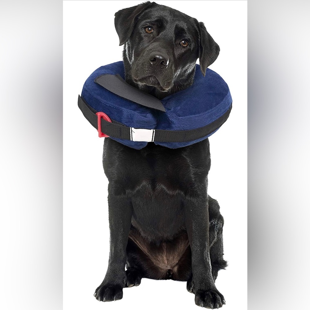 Calm Paws Behavior Support Protective Inflatable Collar Large w/Dog Calming Disc